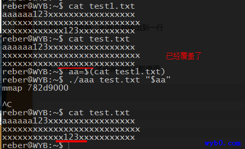 脏牛1