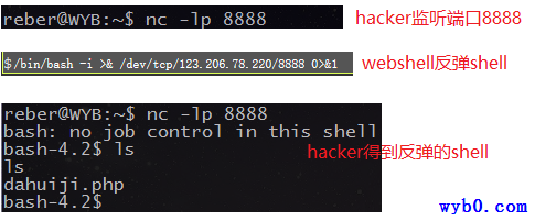 反弹shell