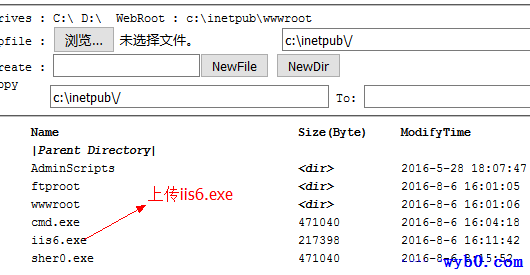 Windows系统漏洞提权-上传iis6